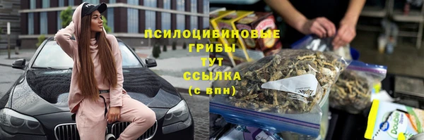 амф Нея