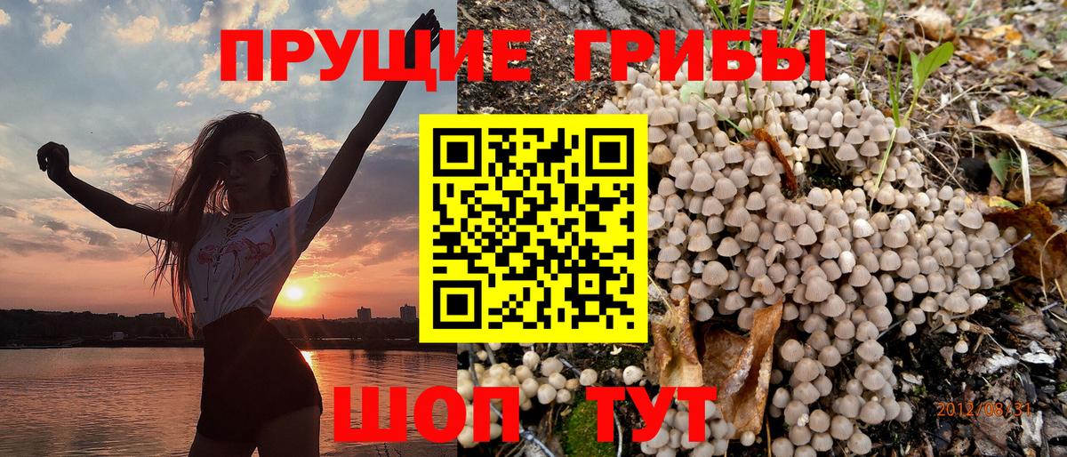 Молли  Югорск  Вход с VPN  Мяу-Мяу  Конопля  Плюхи 
