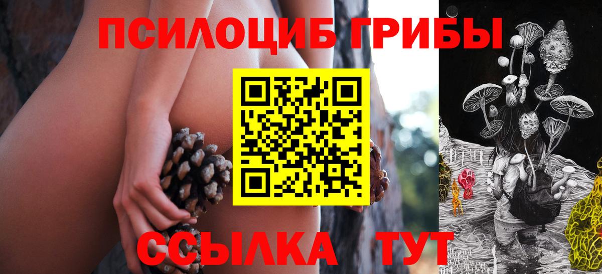 Югорск  Галлюциногенные грибы GOLDEN TEACHER  Вход с VPN 